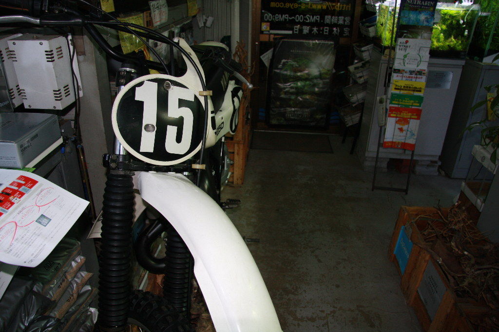 イメージ 7