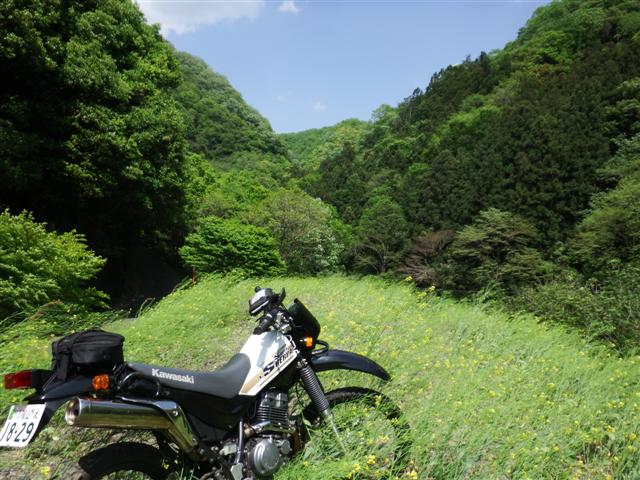 イメージ 13