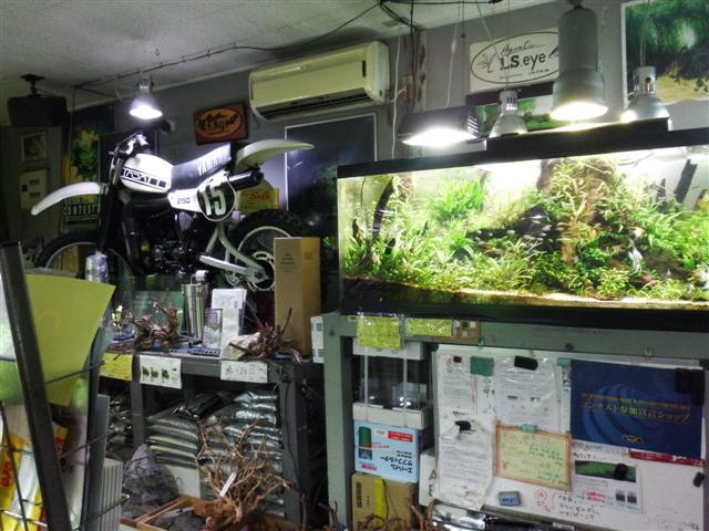 イメージ 6