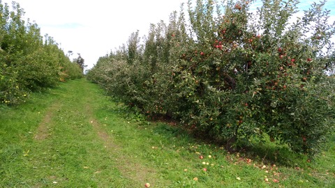 P_20181014_123148