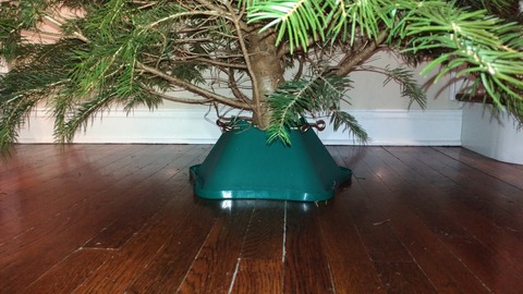 P_20191210_010939_vHDR_Auto