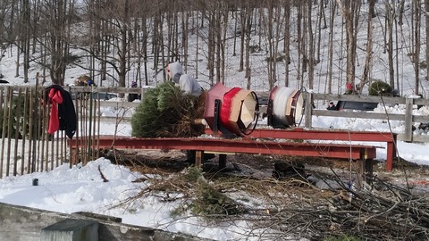 P_20191208_121857_vHDR_Auto