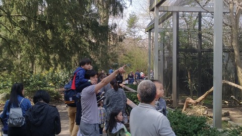 P_20190414_105802_vHDR_Auto
