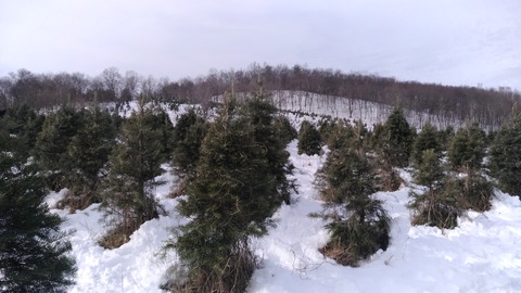 P_20191208_120451_vHDR_Auto