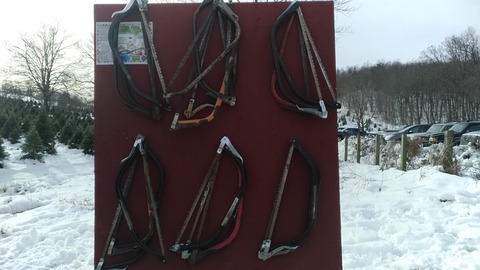 P_20191208_121031_vHDR_Auto