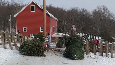 P_20191208_121047_vHDR_Auto