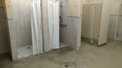 P_20191111_121626_vHDR_Auto