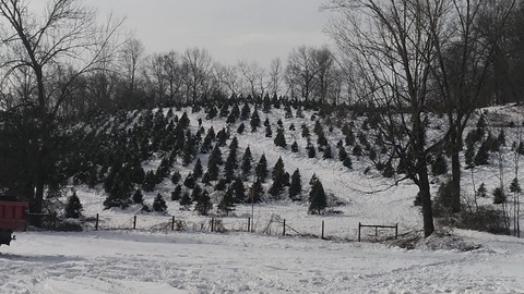 P_20191208_113157_vHDR_Auto