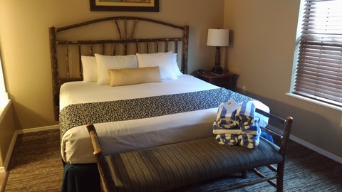 P_20191228_143924_vHDR_Auto