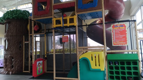 P_20191208_133521_vHDR_Auto