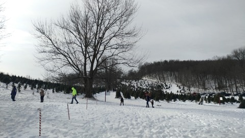 P_20191208_114156_vHDR_Auto