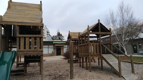 P_20191110_150706_vHDR_Auto