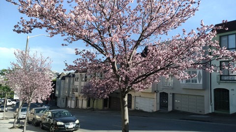 P_20200217_144458_vHDR_Auto