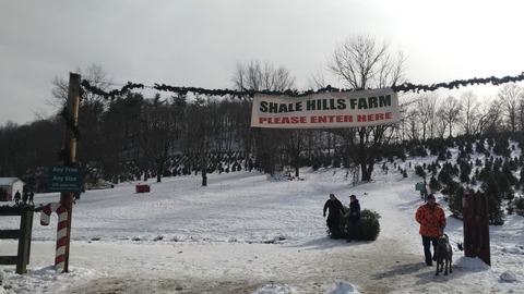 P_20191208_113300_vHDR_Auto