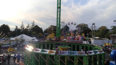 P_20191013_164316_vHDR_Auto