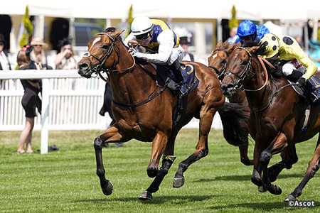 【マイルCS】イギリスから参戦のドックランズって何者