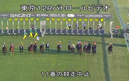 【ジャパンC】アドマイヤテラ川田ｗｗｗ