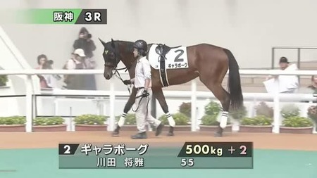 阪神JF抽選対象馬からイヌボウノウタゴエとギャラボーグ2頭が抽選突破