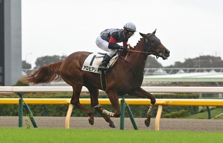 https://livedoor.blogimg.jp/ltdslip2000/imgs/0/5/05265242-s.jpg