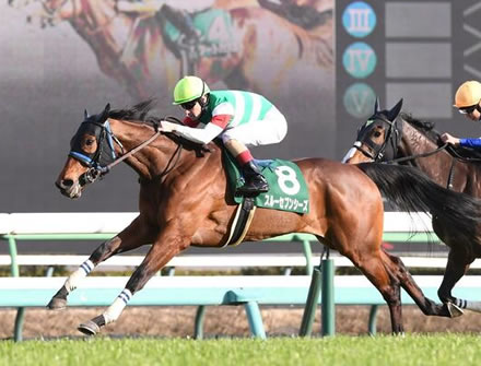 凱旋門賞4着スルーセブンシーズは有馬記念へ