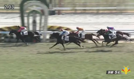 【2歳新馬】ロードスタニング銀行開業