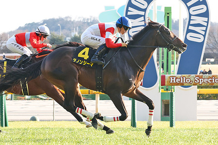 【競馬予想】[1]第74回阪神大賞典(GⅡ) /2026