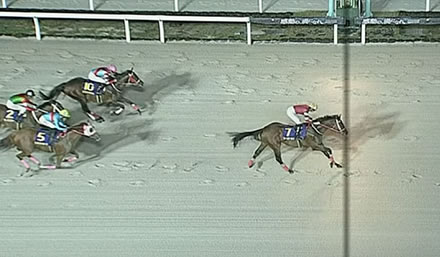 【日テレ盃】フォーエバーヤングが余裕で抜け出し2馬身半差快勝！