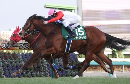 【フェアリーS】5番人気のブラックチャリスが重賞初制覇！人気馬総崩れ馬券は大荒れ