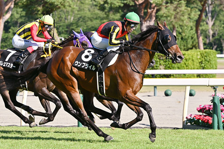 【競馬予想】 第11回ターコイズステークス(GⅢ) /2025