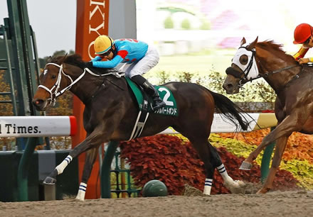 【みやこS】牝馬ダブルハートボンドがレコードでV！重賞初制覇