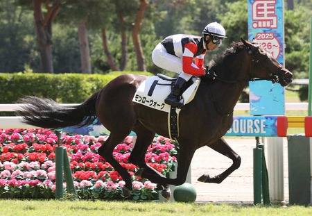 【2歳新馬】キズナ産駒のモンローウォークがデビュー戦快勝！