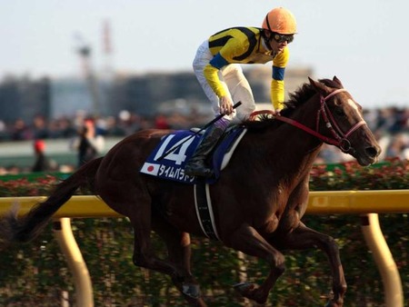 訃報 タイムパラドックス死亡 24歳 うまなみ 競馬にゅーす速報