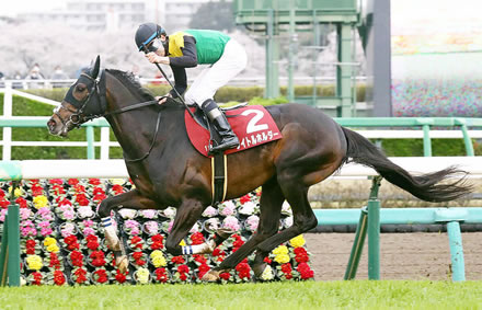 タイトルホルダー岡田代表、年内引退を示唆「ドゥラメンテの継種牡馬に」