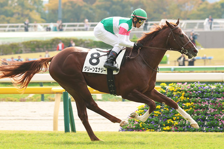 【競馬予想】[2]第66回京成杯(GⅢ) /2026