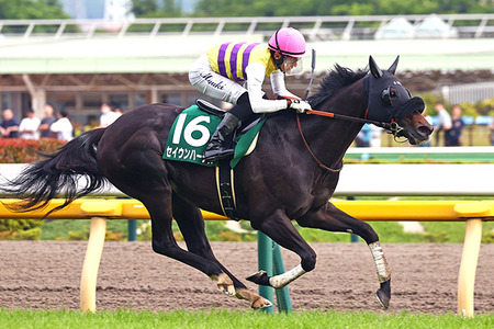 【競馬予想】[2] 第100回中山記念(GⅡ) /2026