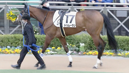 【競馬予想】第58回フローラステークス(GⅡ)