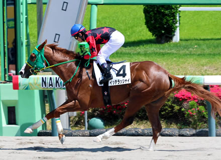 ホリエモンの馬イッテラッシャイ強すぎワラタｗｗｗ