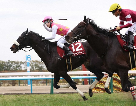 【京都記念】6番人気ジューンテイク先頭押し切りＶ！重賞２勝目