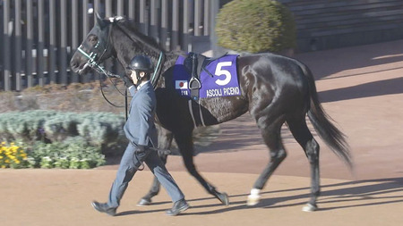 【阪神牝馬S】アスコリピチェーノ終わる