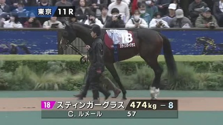 有馬回避のスティンガーグラスが木村厩舎から友道厩舎に転厩