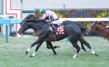 【阪神カップ】ルガルがレコードでナムラクレアに競り勝つ！重賞3勝目