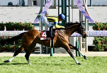 現役最強馬がプログノーシスな件