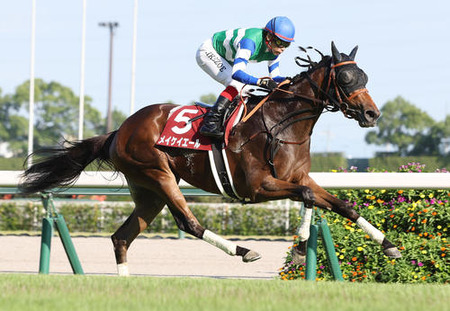 G1未勝利メイケイエール 引退式を中京競馬場で実施！