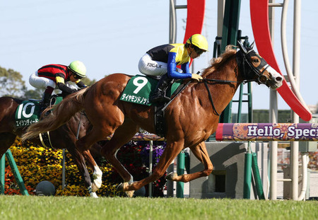 ダイヤモンドノット強すぎワロタw