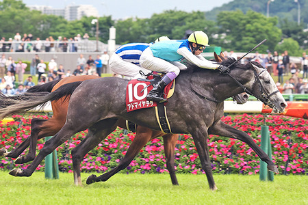 【競馬予想】[2]第74回阪神大賞典(GⅡ) /2026