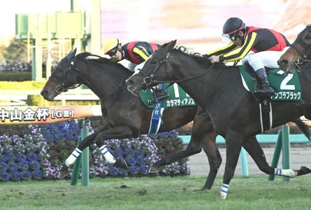 【中山金杯】カラマティアノスが先頭押し切りV！重賞初制覇