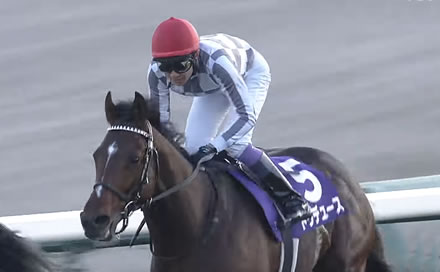【顕彰馬】来年のドウデュースの得票率を予想するスレ