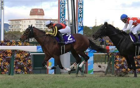 最近の馬名がキラキラネームすぎる件 うまなみ 競馬にゅーす速報 最近の馬名がキラキラネームすぎる件 うまなみ 競馬にゅーす速報