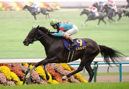 【菊花賞】エネルジコが快勝！ルメールは同レース史上初の3連覇