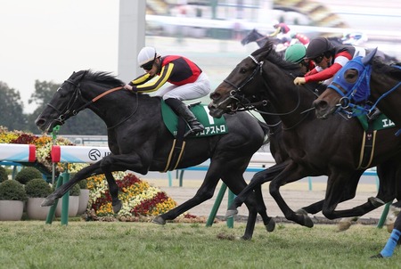 【きさらぎ賞】１番人気ゾロアストロがインから抜け出しＶ！重賞初制覇